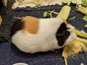 2021-05-11 Emily.jpg